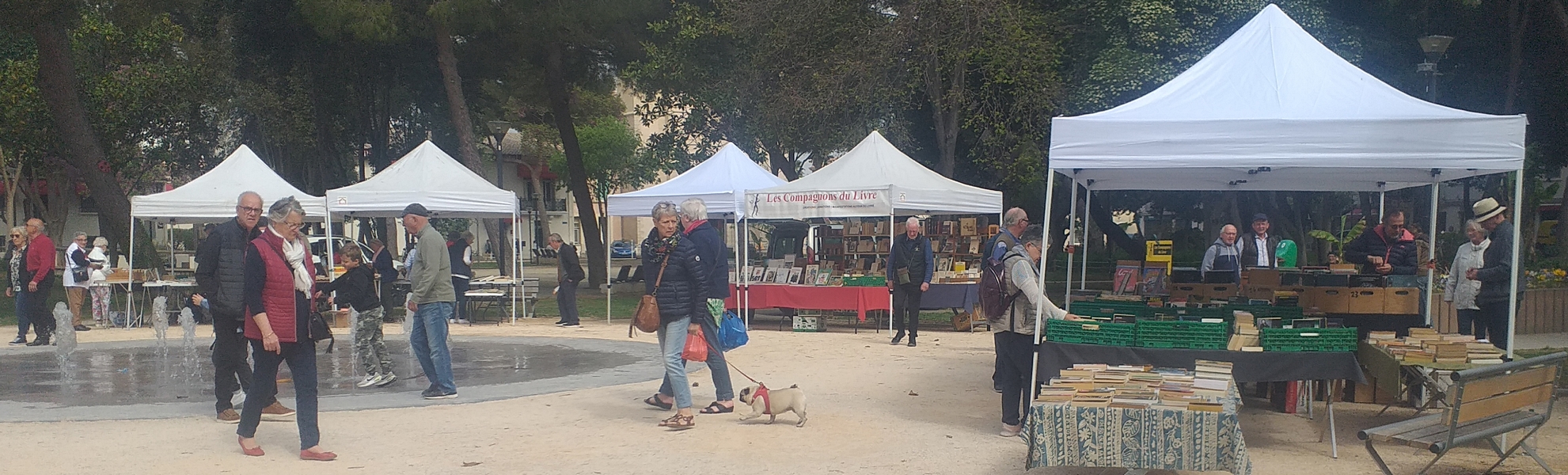 Photo 2 de la manifestation